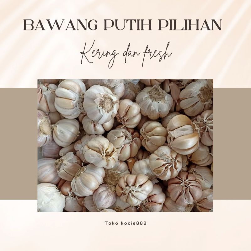 

Bawang Putih Honan