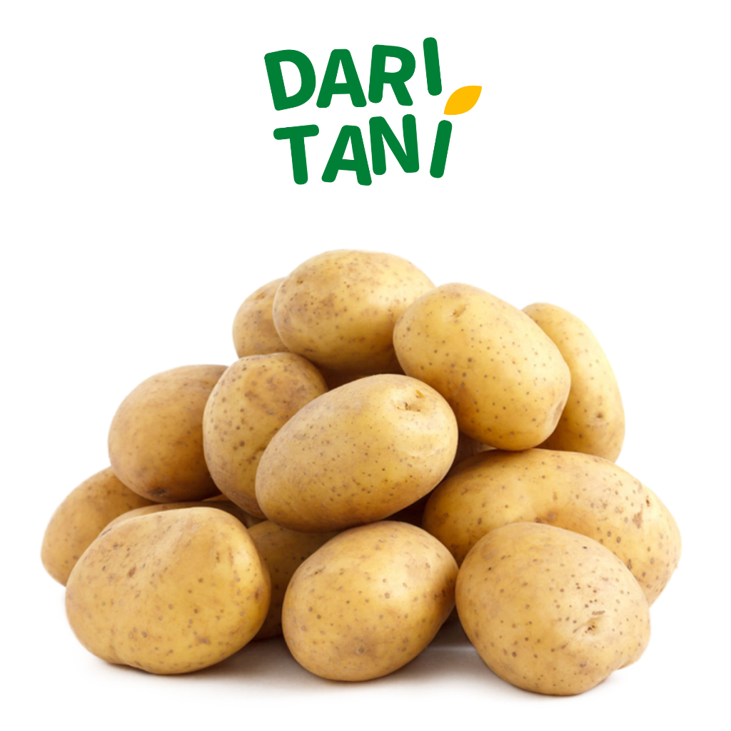 

DariTani Kentang Sedang 500 gr