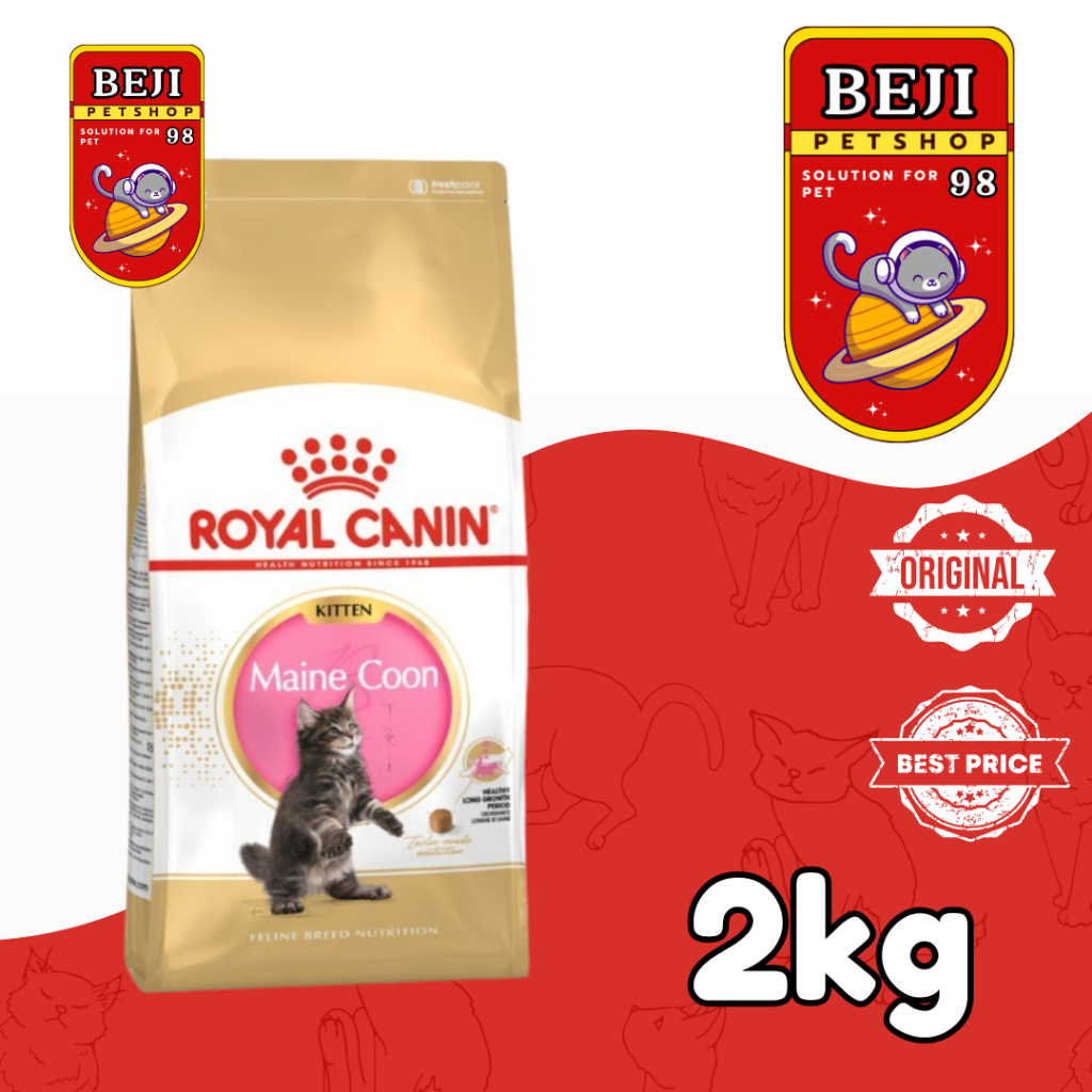 Royal Canin Maine Coon Kitten 2kg
