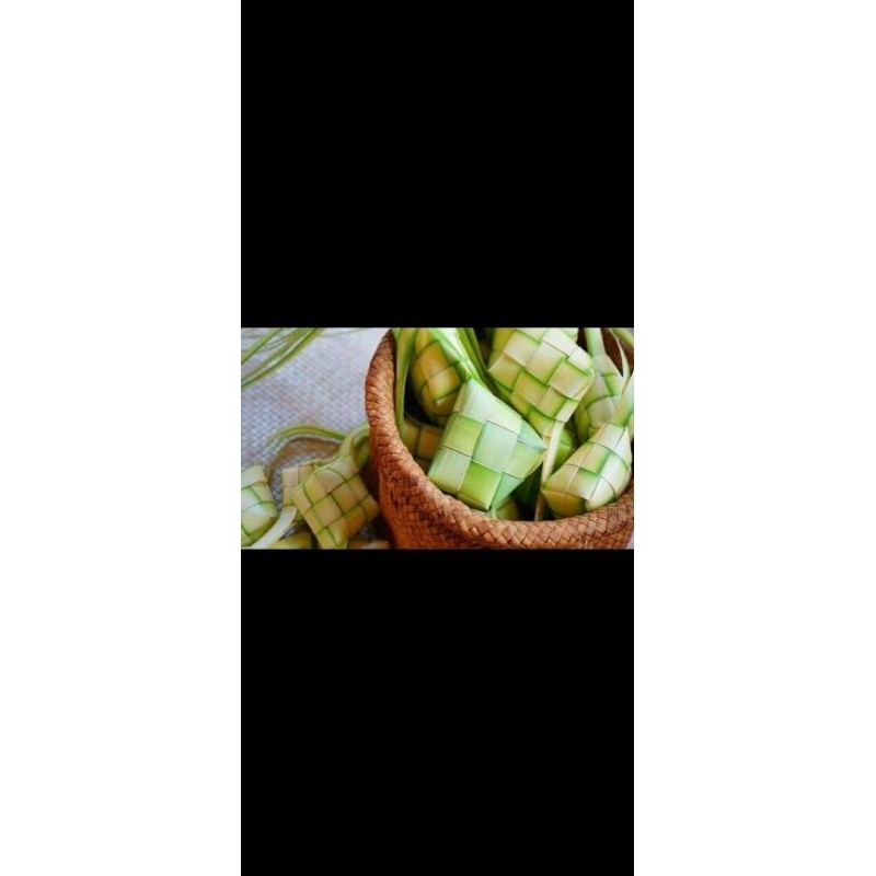 

JANUR KETUPAT / DAUN KELAPA MUDA