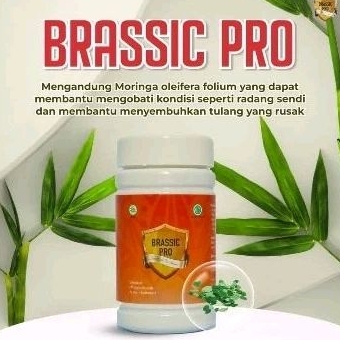 BRASSIC PRO