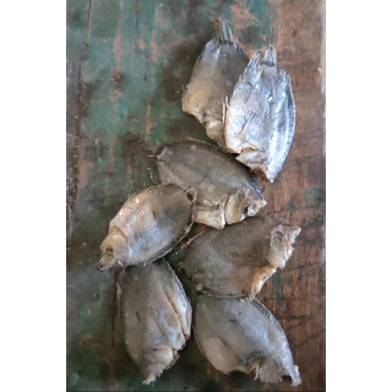 

Ikan sapil/tembakang kecil