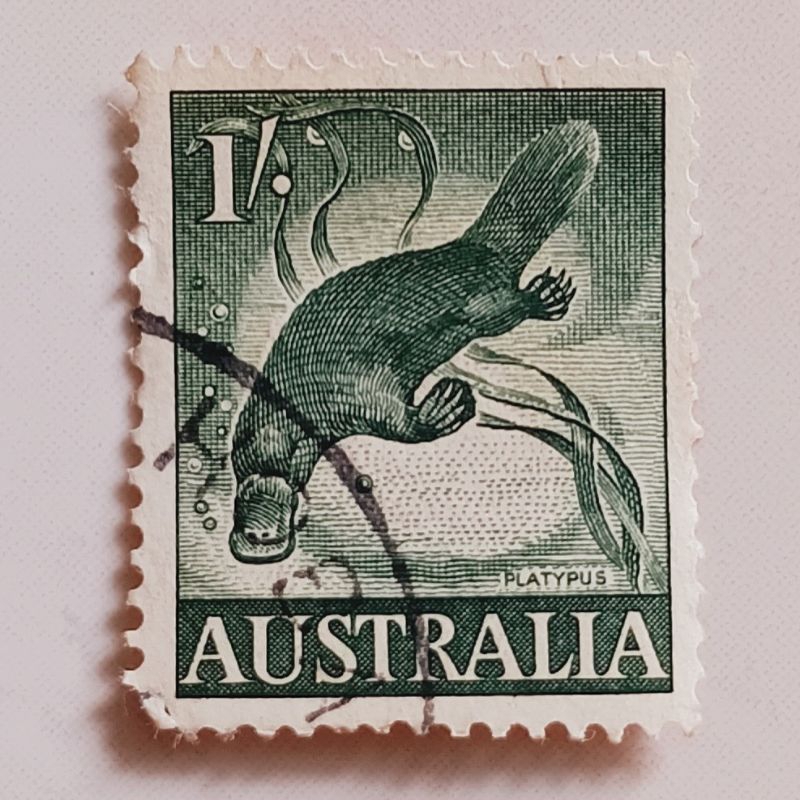 

(AE) Perangko Australia 1959 Queen Elizabeth II, Fauna and Flora - Duck-billed Platypus (Ornithorhynchus anatinus) 1 shilling Used