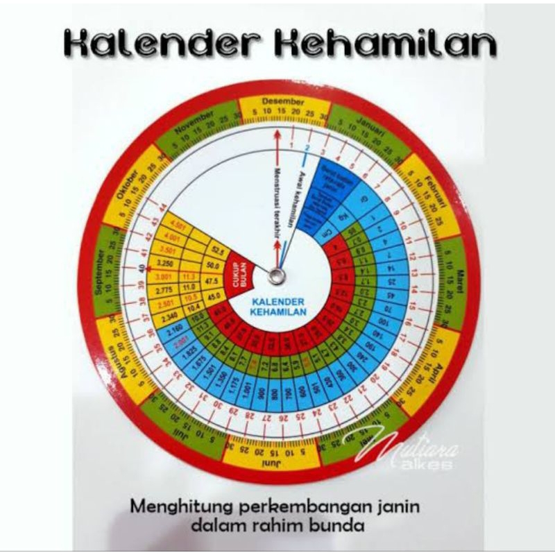 

kalender kehamilan