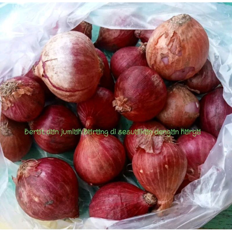 

Bawang merah