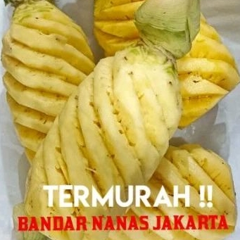 

NANAS PALEMBANG KUPAS SEGAR BERSIH PER BUAH