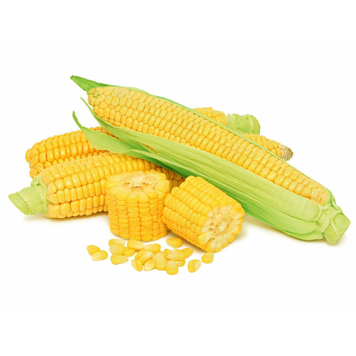 

Jagung Manis Muda Segar Pilihan