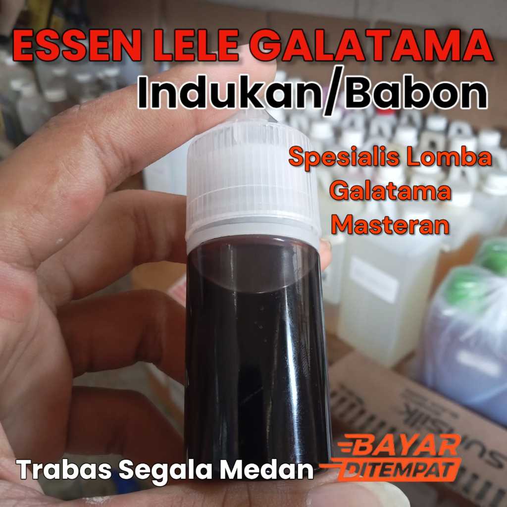 Essen Ikan Lele Aroma Blenok Amis Paling Gacor, Essen Ikan Lele Galatama Paling Gacor, Essen Ikan Le