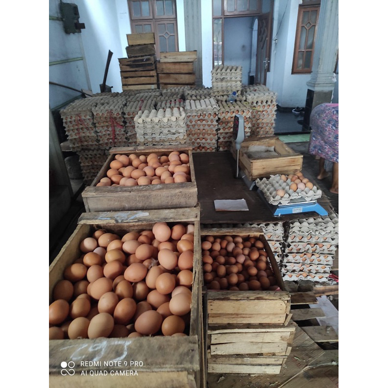 

telor ayam negeri pilihan 1 kg