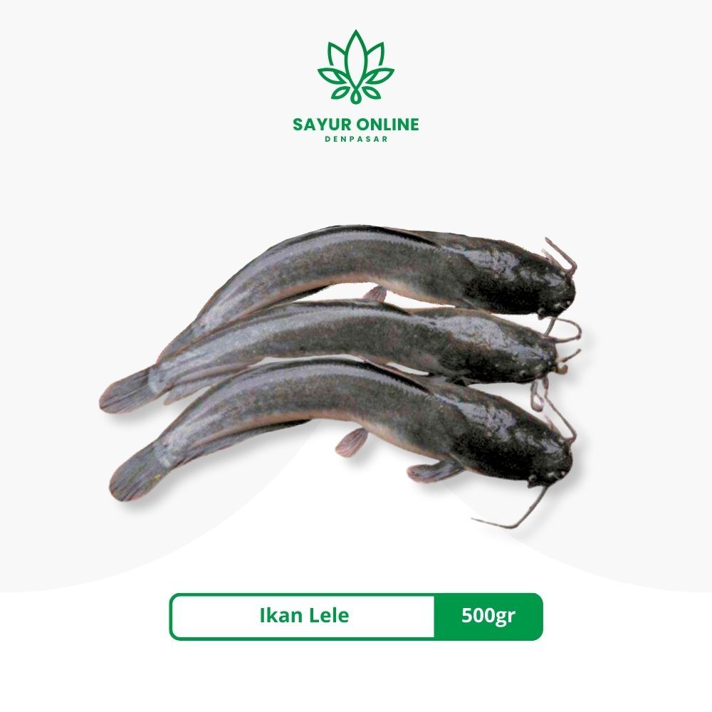 

Ikan Lele (sudah bersih) 500gr - Sayur Online Denpasar