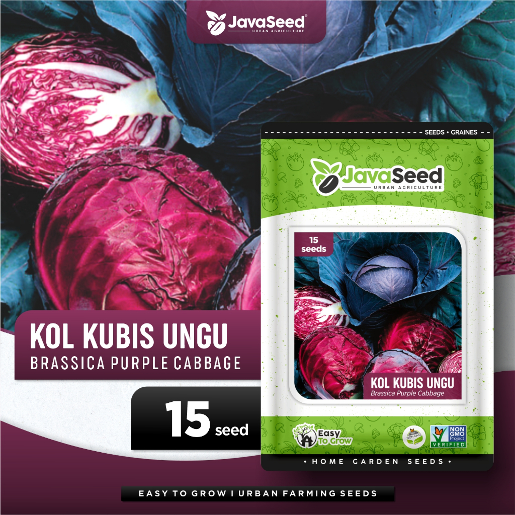 JAVASEED - Benih Tanaman Kol Kubis Merah Kubis Ungu 15 Benih