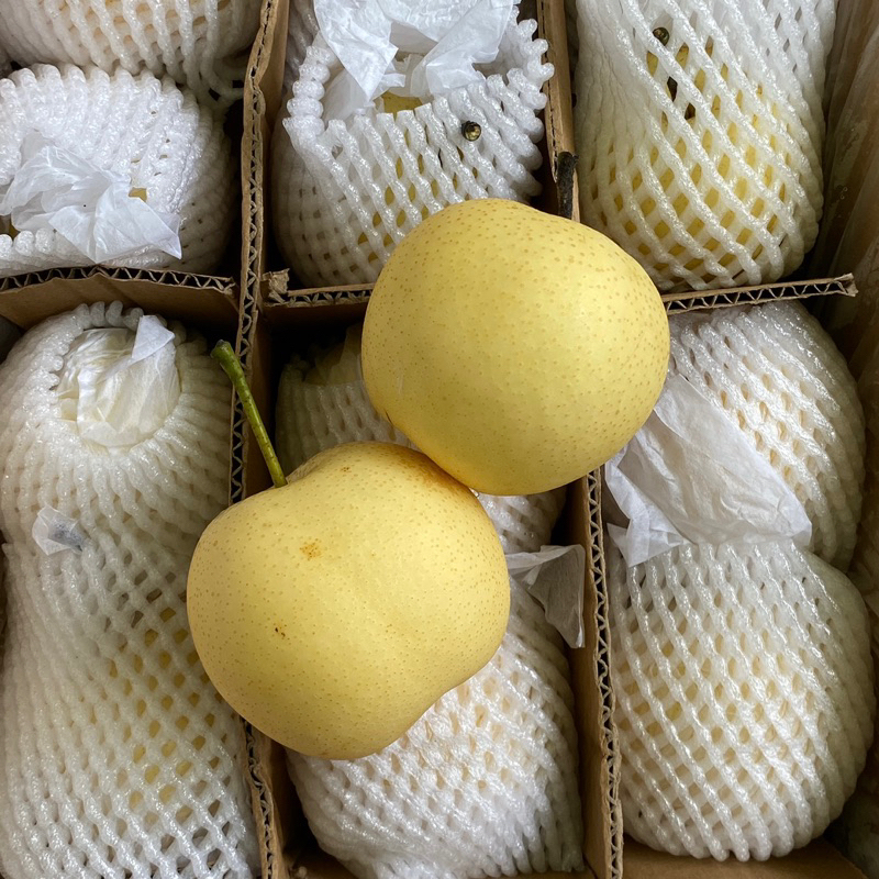 

Buah Pear Century 500gram Fresh