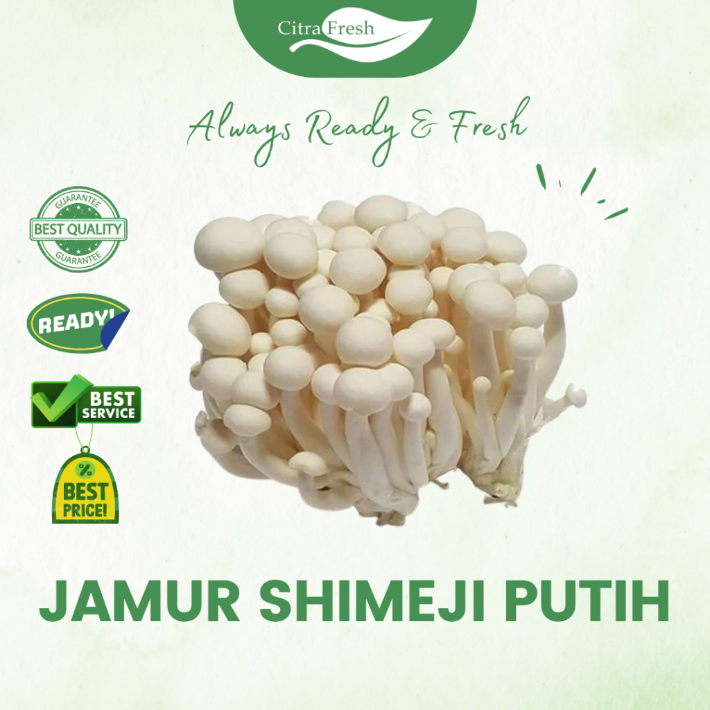 

CITRA FRESH - Jamur Shimeji Putih 150 Gram - Selalu Ready dan Fresh