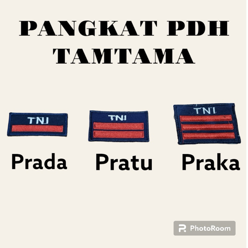 pangkat pdh tamtama tni au
