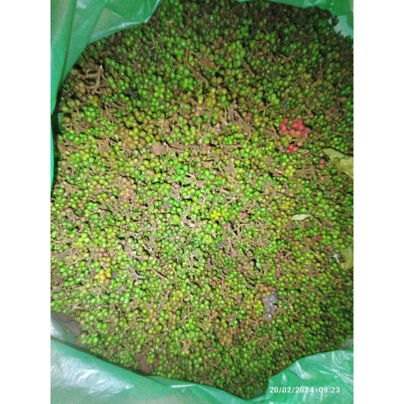 

andaliman(250g)