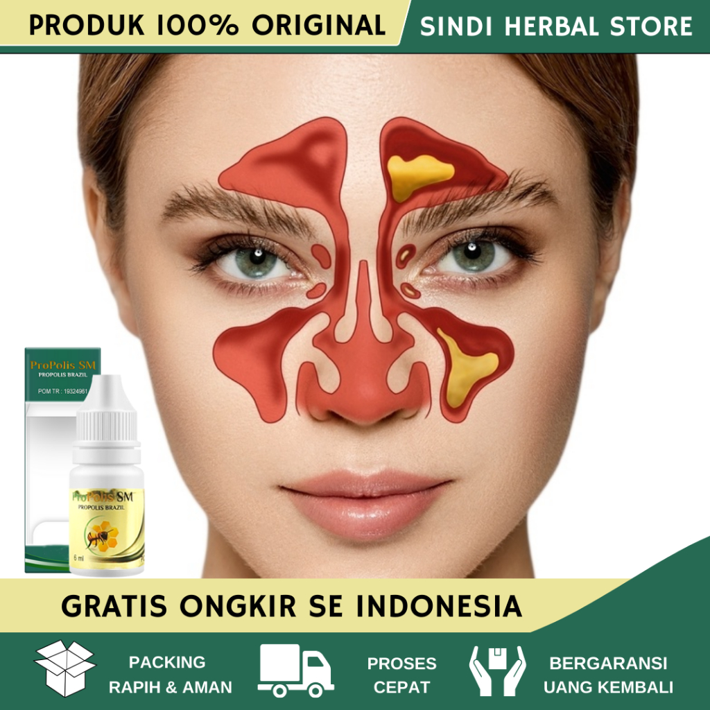Obat Sinusitis, Obat Hidung Sinusitis, Obat Sinusitis Pilek Menahun, Obat Sinusitis Hidung Bau Busuk