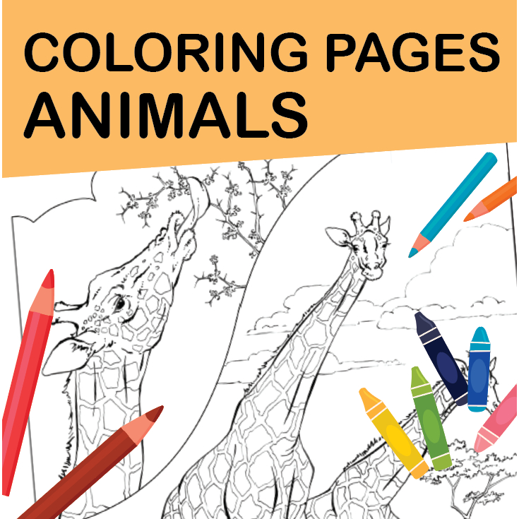 

Lembar mewarnai hewan binatang real animals coloring page