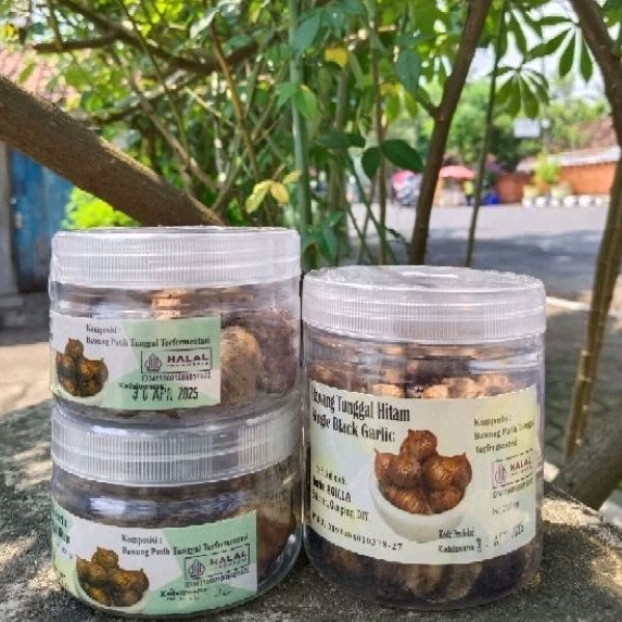 

Black Garlic Bawang Hitam Lanang Aqila Berkualitas Herbal Premium