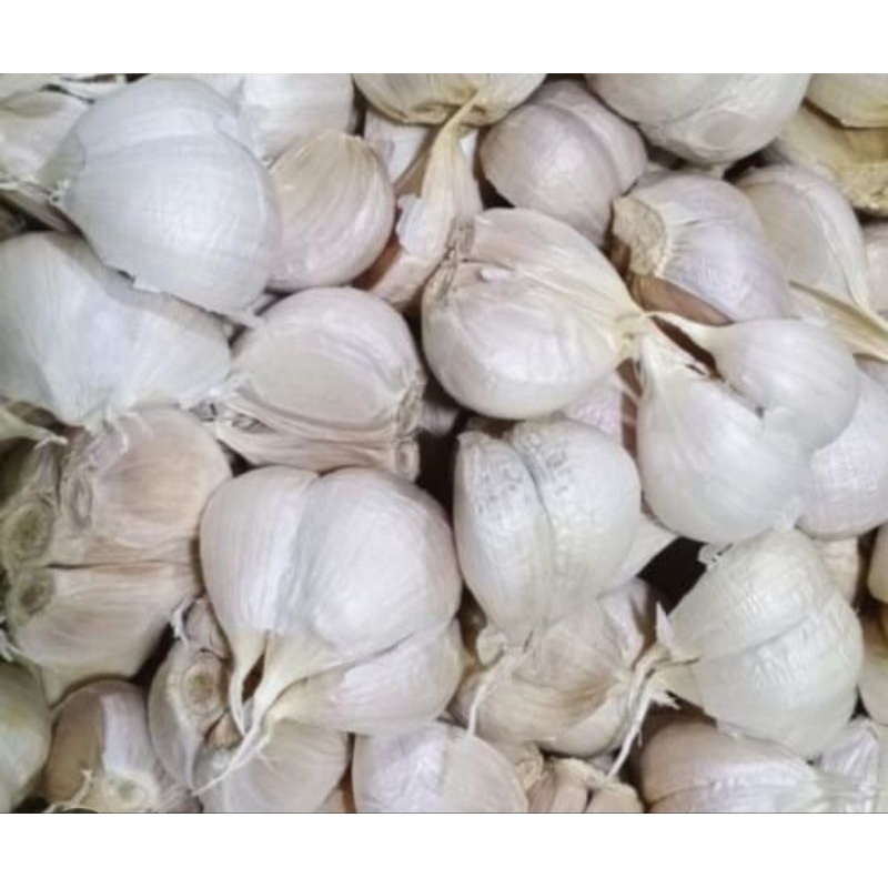 

Bawang putih kating 250gr
