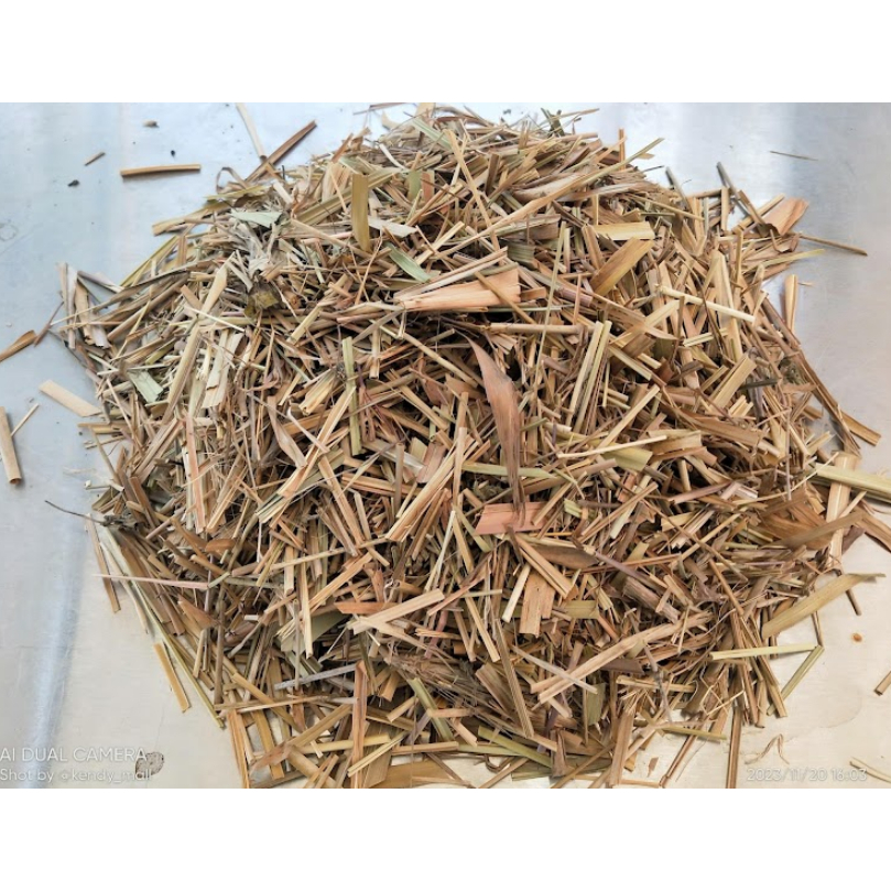 

DAUN ALANG ALANG KERING / DAUN ERIH KERING / Daun ilalang kering