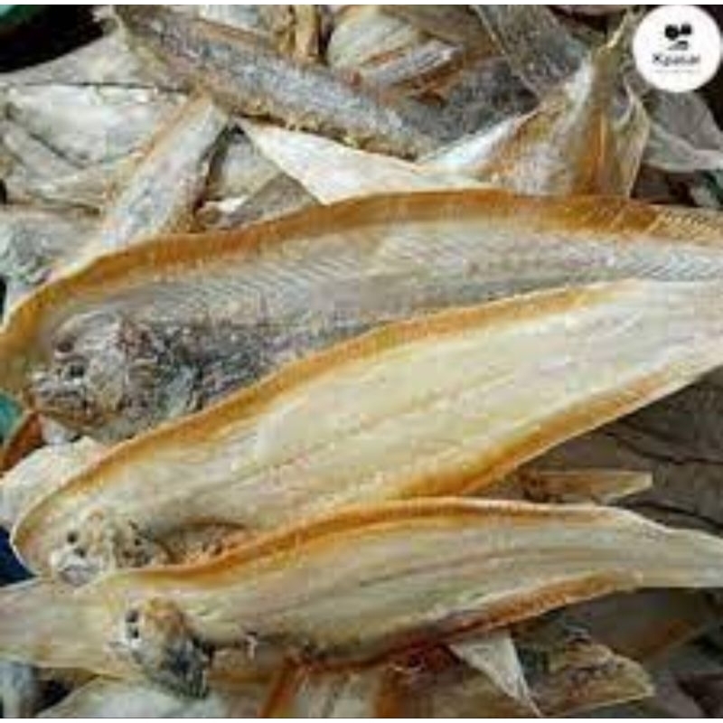 

Ikan Lidah
