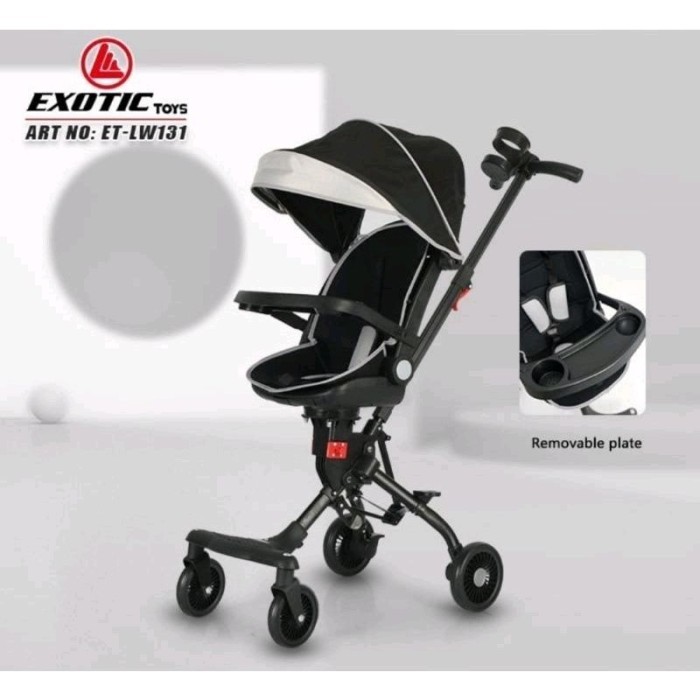 MICRO TRIKE EXOTIC LW 131