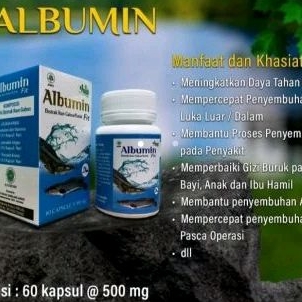 kapsul ikan gabus/albumin fit