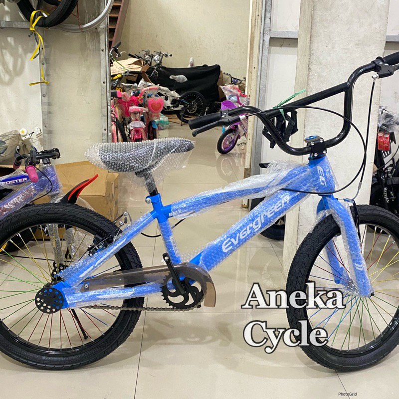 Sepeda Anak BMX Evergreen B2 20 Inch