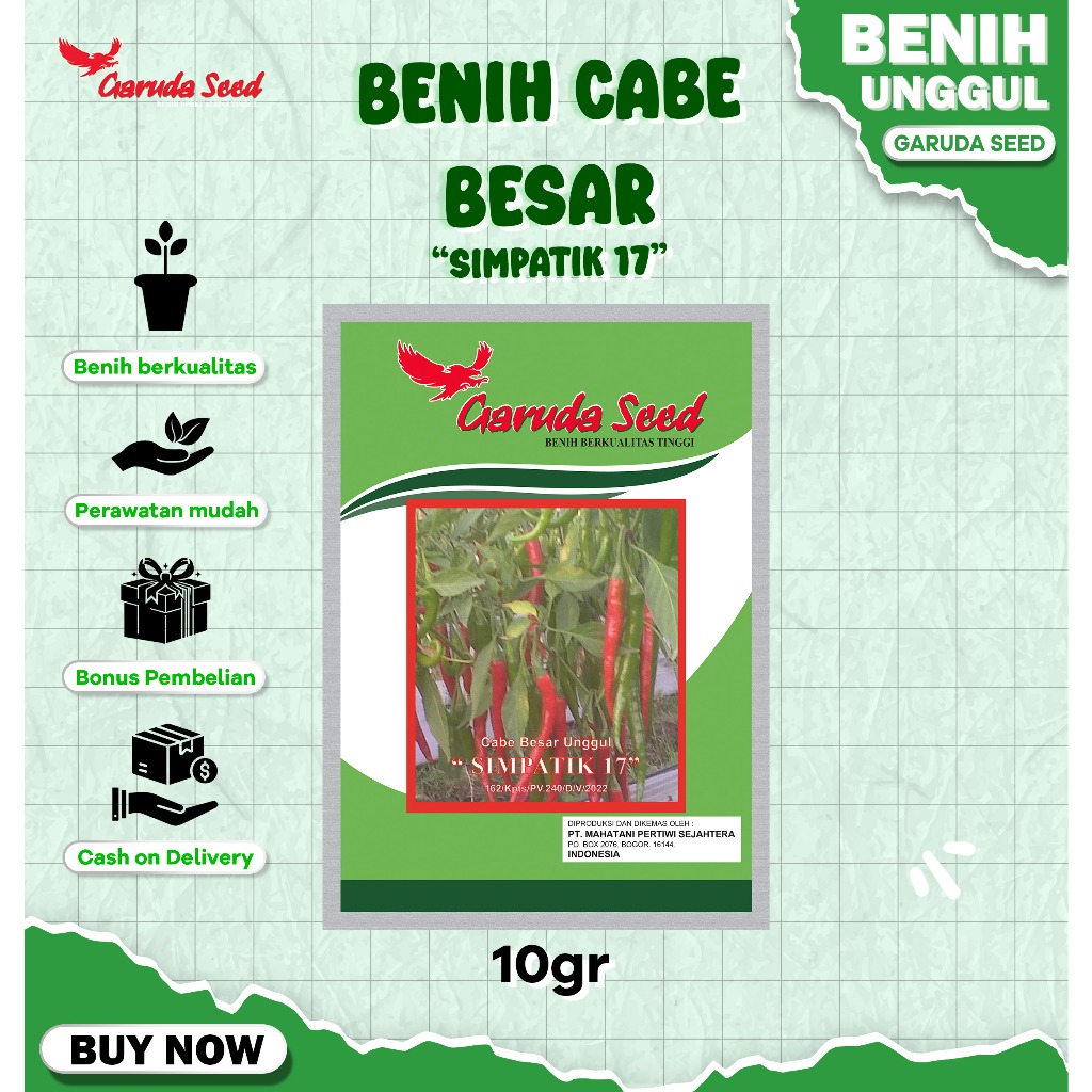 Benih Cabe Besar Unggul 10 Gram untuk Budidaya Cabai Besar Dataran Rendah Tinggi