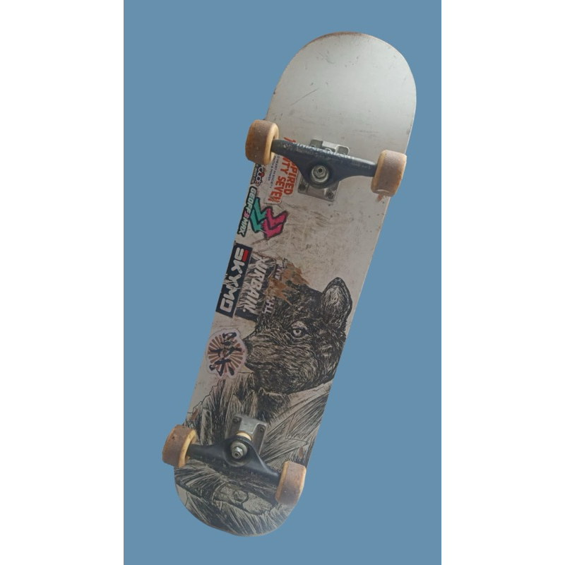 skateboard fullset wonder independent truck
