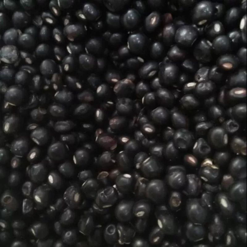 

Kacang Gude Hitam/Undis