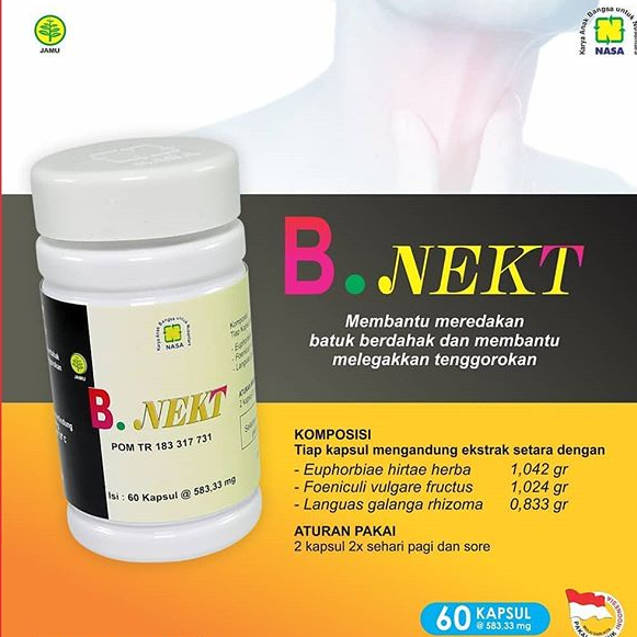 BNEKT NASA / Natural Nusantara BNEKT / BNEKT BPOM ORIGINAL / BNEKT OBAT HERBAL