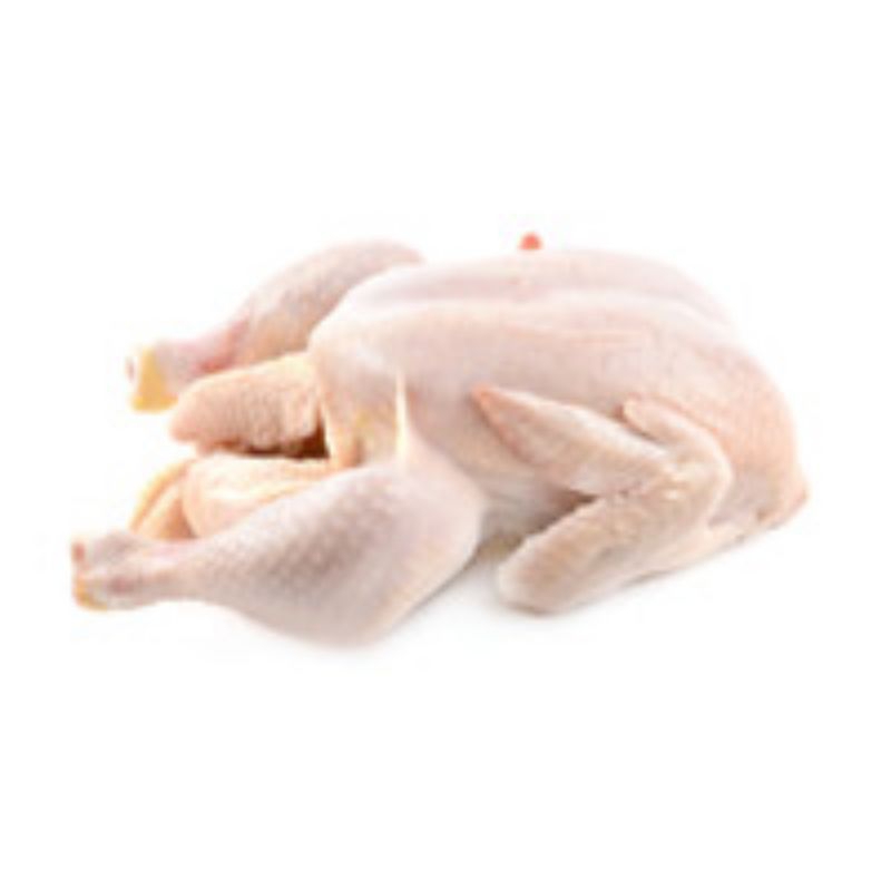 

ayam karkas Frozen per 1 ekor