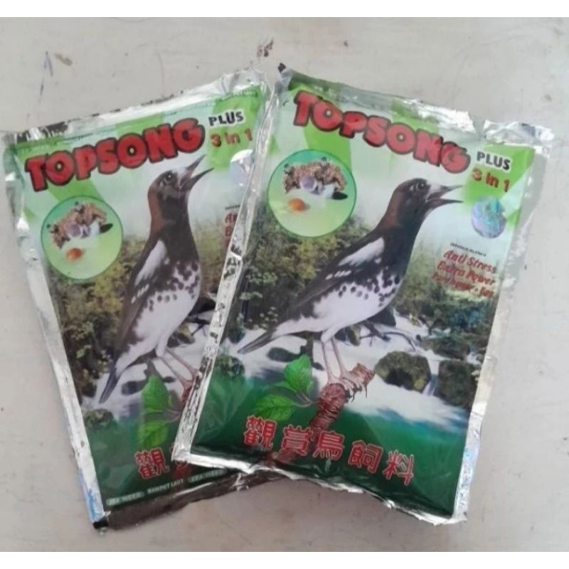 TOPSONG //makanan burung