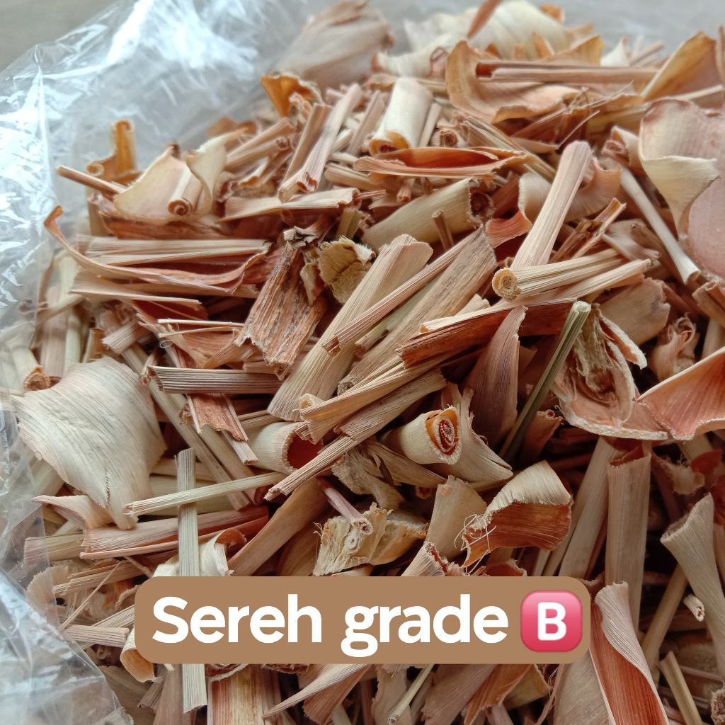 

Sereh Grade B