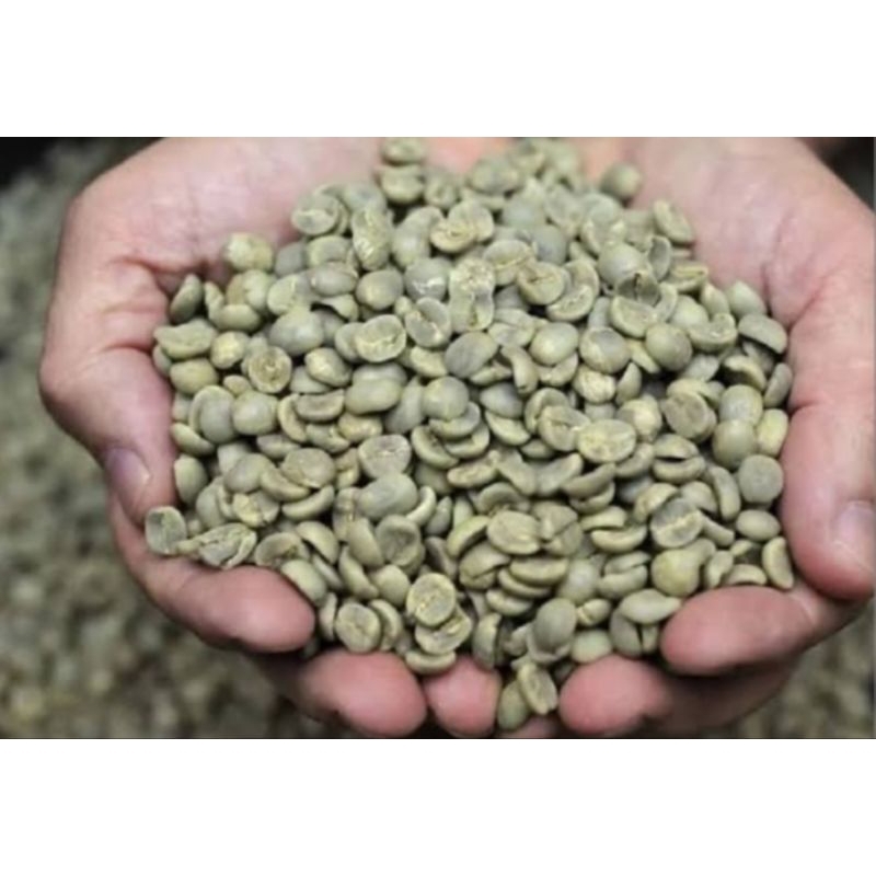 

kopi robusta/arabika mamasa