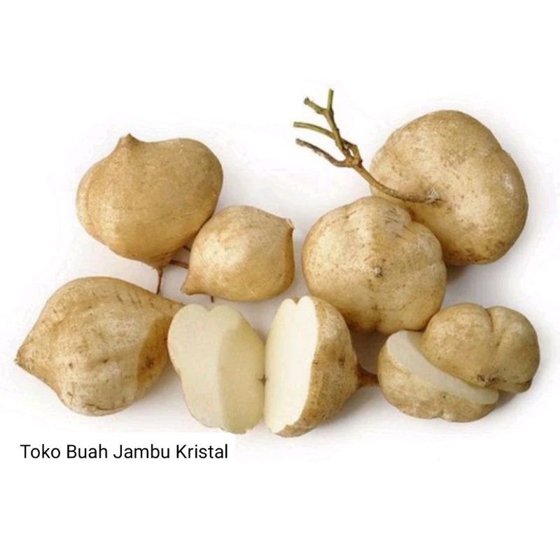 

Bengkuang 1 kg Bengkoang 1 kg