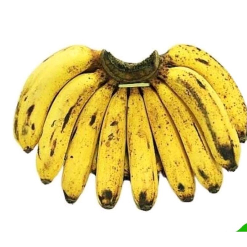 

pisang barangan 1 sisir