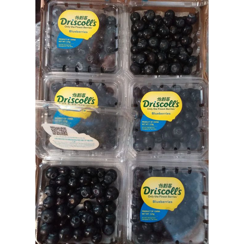 

blueberrys driscoll's Australia berat 125 grm/pack