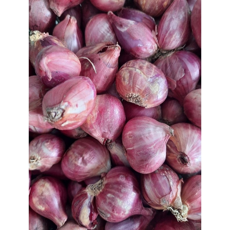 

Bawang Merah | 250 Gr | ¼ Kg | Tanggung Besar | Garing | Ecer