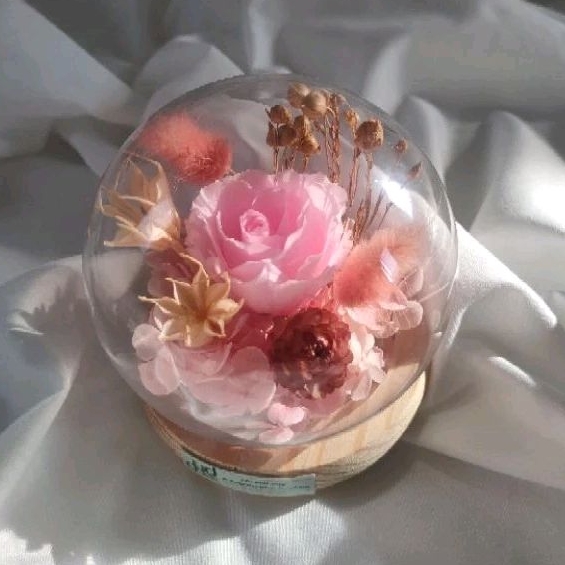 preserved flower in glass dome / flower glass dome