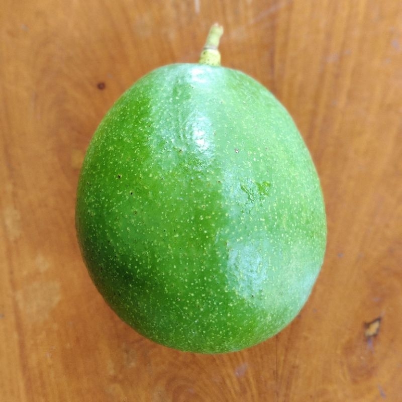 

alpukat miki 1 kg