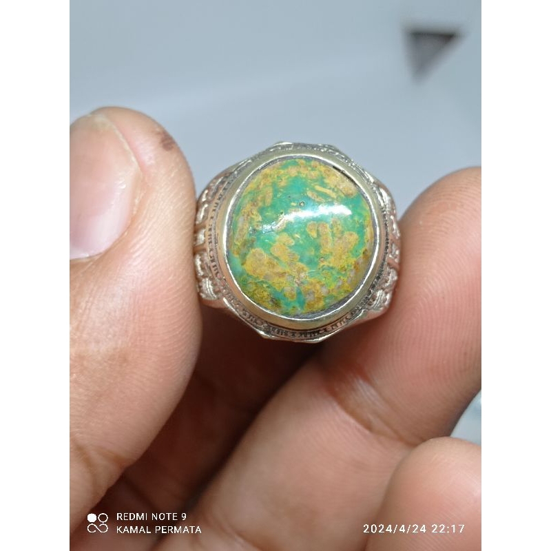 pirus persia hijau urat mas