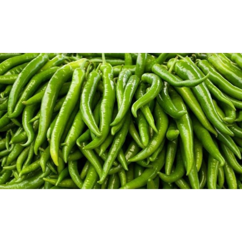 

Cabai Hijau BESAR Fresh