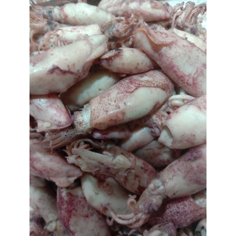 

Cumi Asin Sotong/Jarum