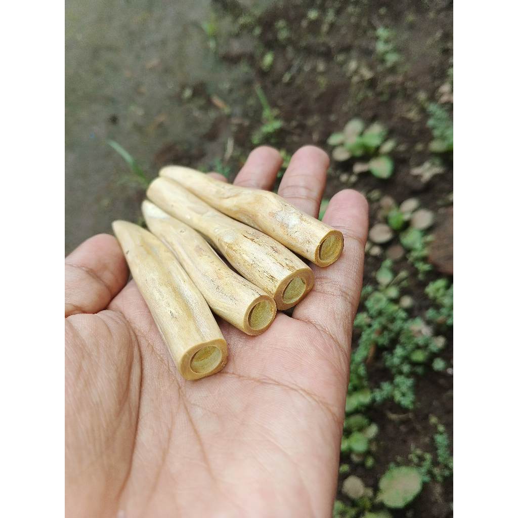 Pipa Once Akar Bahar Asli Putih Natural