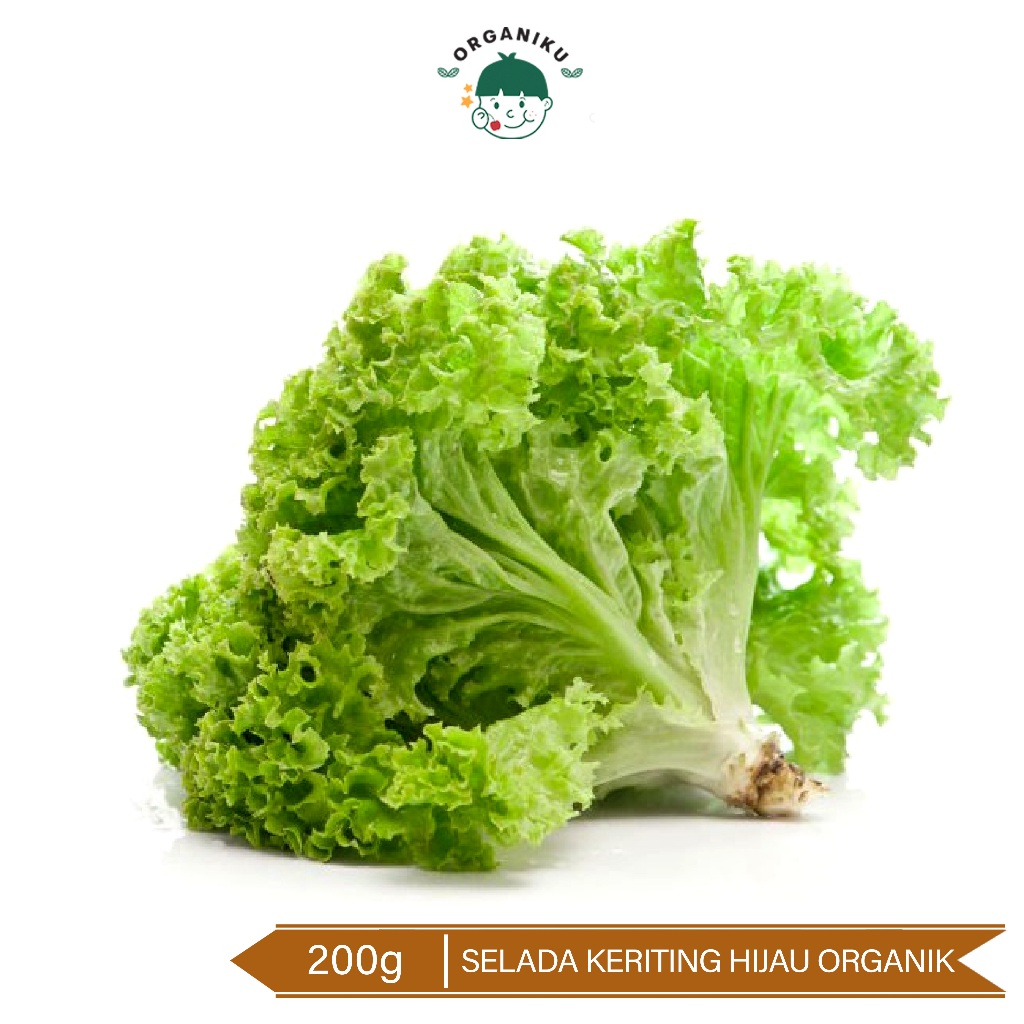 

Sayur Organik / Selada Keriting Hijau Organik /Organic Green Leaf Lettuce 200g