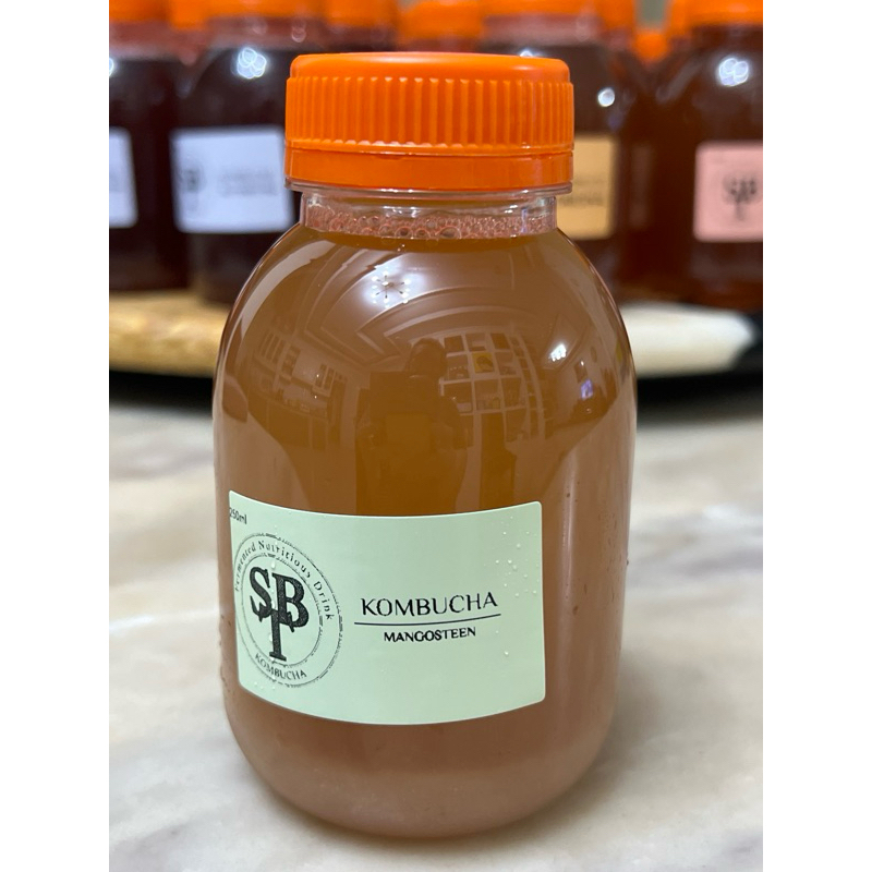 

KOMBUCHA MANGOSTEEN 250ml