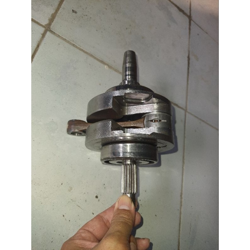 KRUK AS BANDUL TIGER LANGKAH 74