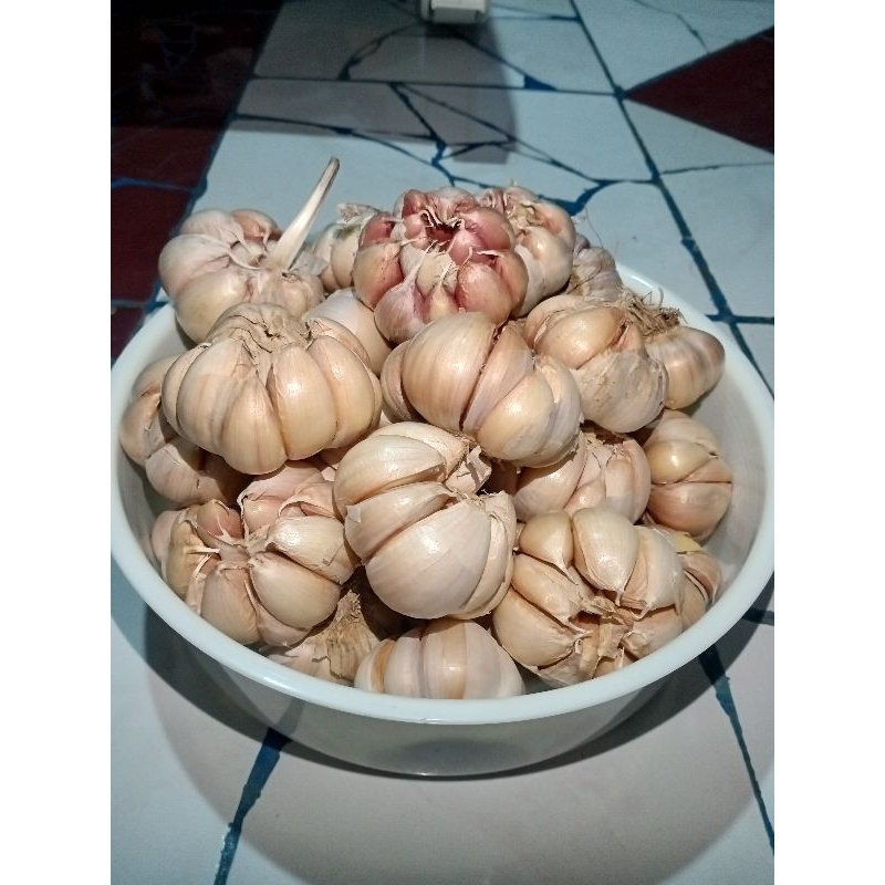 

Bawang putih 500 gram